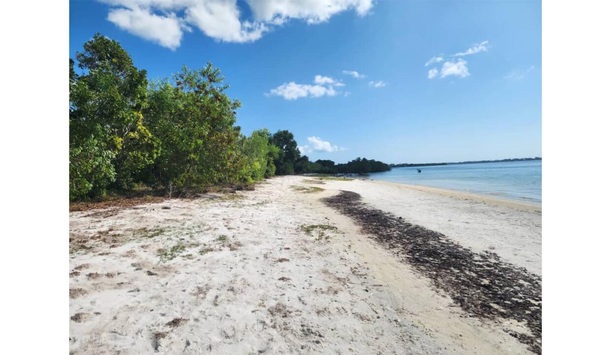 Secluded Paradise in Pemba_0002_PHOTO-2023-10-19-16-17-26 2