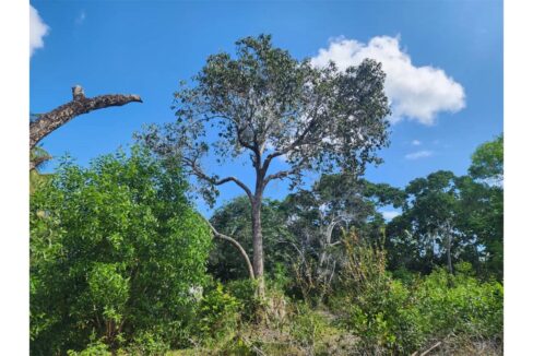 Secluded Paradise in Pemba_0003_PHOTO-2023-10-19-16-17-25 2