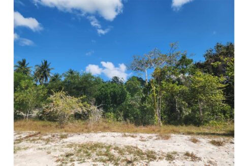 Secluded Paradise in Pemba_0005_PHOTO-2023-10-19-16-17-23 2