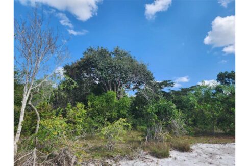 Secluded Paradise in Pemba_0006_PHOTO-2023-10-19-16-17-21