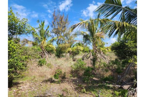 Farm Land Ideal for Development in Paje_0004_PHOTO-2023-11-12-19-30-05