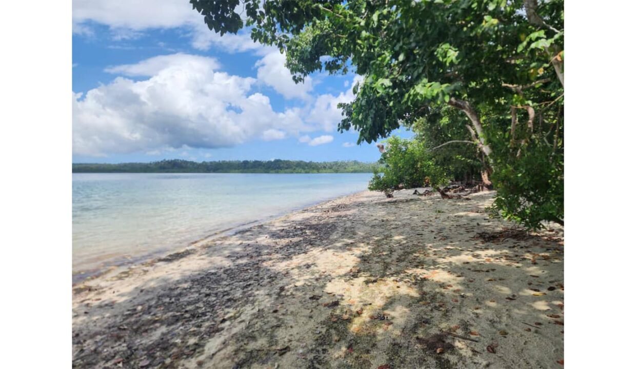 Secluded Beach Paradise in Pemba (8)