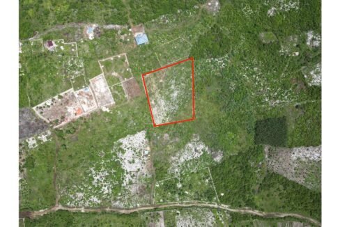 Farm Land Ideal for Development in Paje 1 (4)