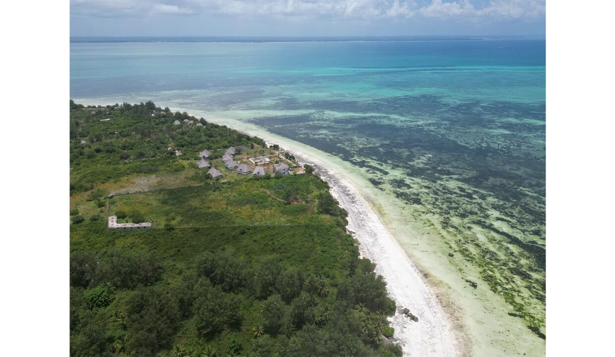 Serene Beachfront in North Michamvi_2 (11)