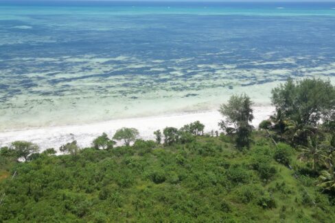 Serene Beachfront in North Michamvi_2 (2)