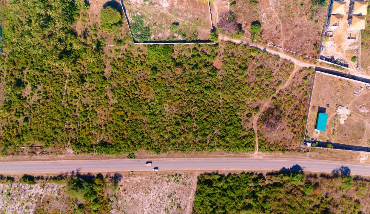 Second-line Plot in Shungi - 02