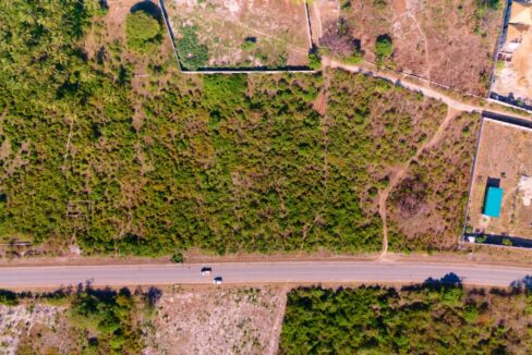 Second-line Plot in Shungi - 02