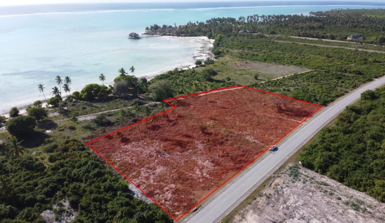 Second-line Plot in Shungi