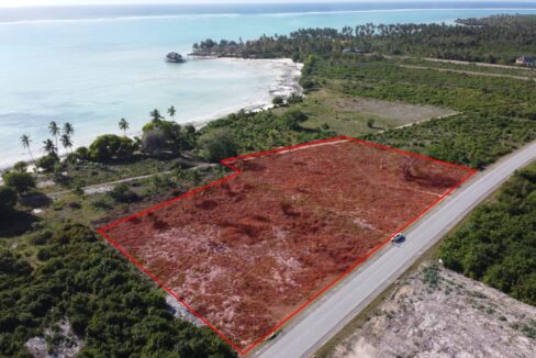 Second-line Plot in Shungi