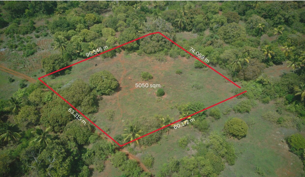 makunduchi_nonje_2_measurements