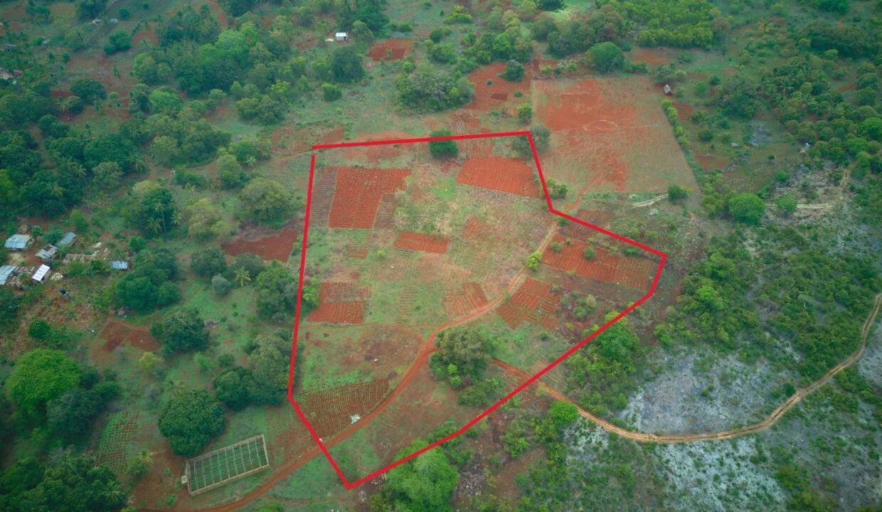 Prime Farmland in Makunduchi