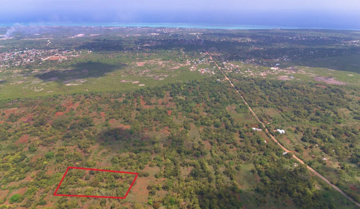 Fertile Farmland with Established Fruit Trees in Southeast Makunduchi