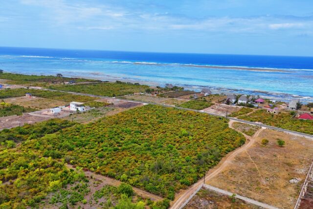 Invest in Paradise: Prime Land remaining in Zanzibar’s Emerging South, Jambiani, Shungi village