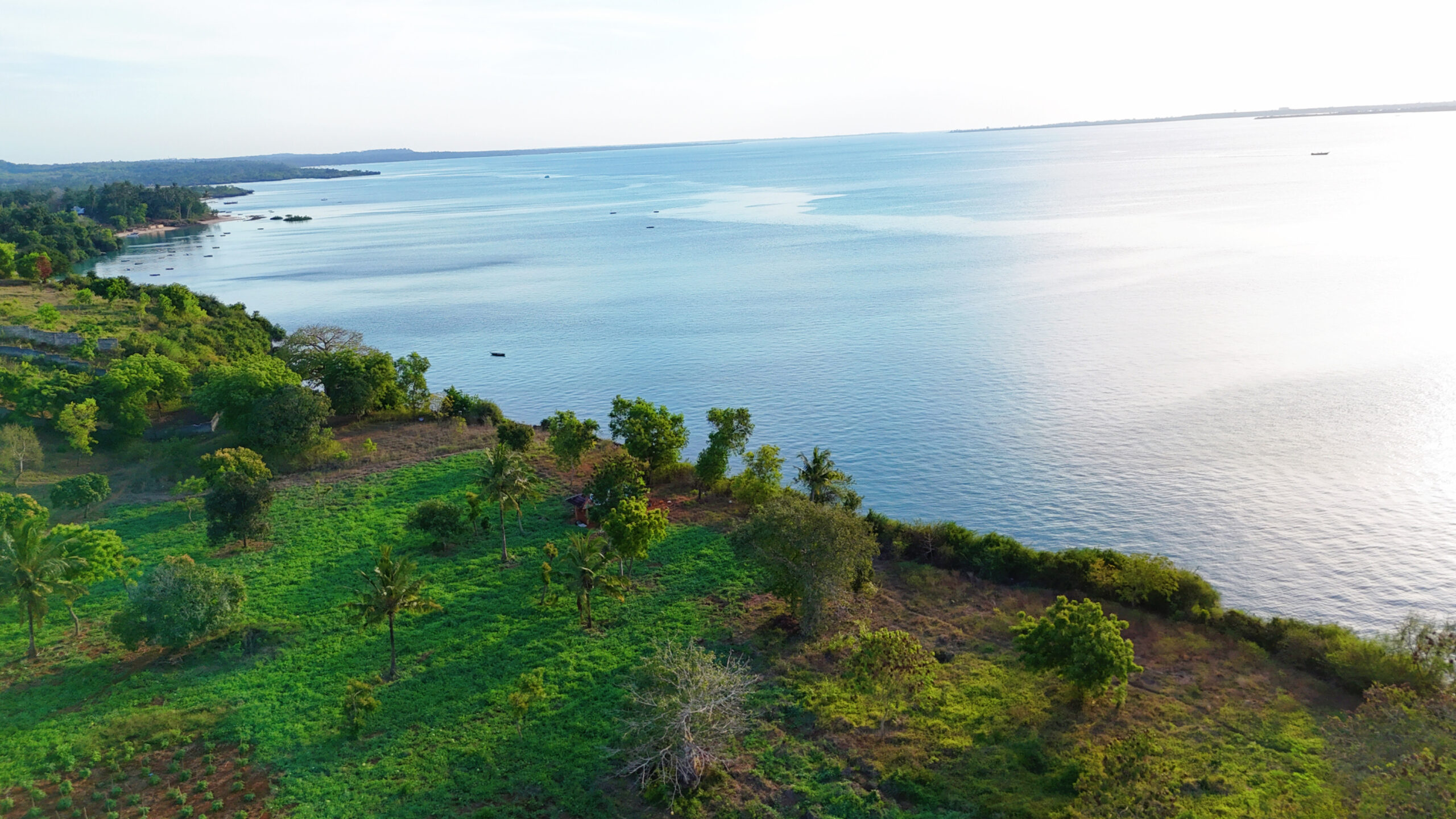 Oceanview Land with Private Shoreline in Kidoti Nungwi