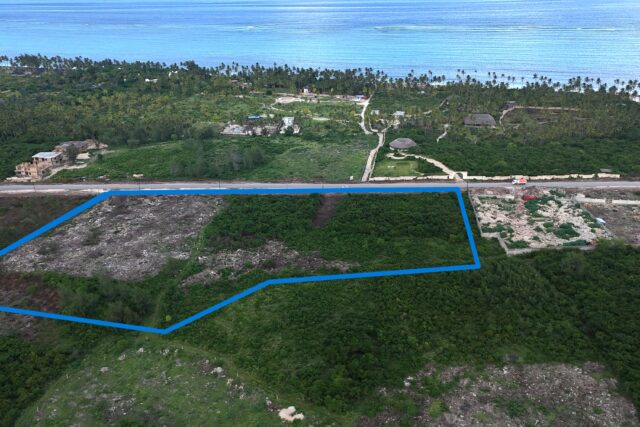 Prime 13,000 SQM Investment Land in Dongwe – Main Road Frontage.